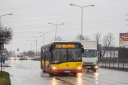 A137_Polczynska.jpg