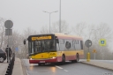 A146_Gwiazdzista.jpg