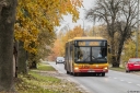 A202_Wolczynska.jpg