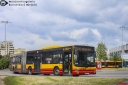 A254.jpg