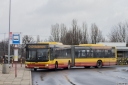 A254_CmPolnocnyBrPld.jpg