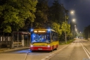 A261_Przyczolkowa.jpg
