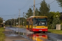 A291_Rosochata.jpg