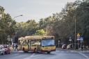 A508_Plocka.jpg