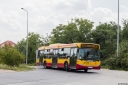 A519_Regulska.jpg