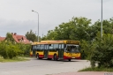 A548_Regulska.jpg