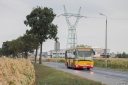 A621_PiotrkowekDuzySwierkowa.jpg
