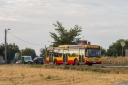 A622_PiotrkowekDuzySwierkowa.jpg