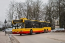 WI55786_KobylkaZaganczyka.jpg