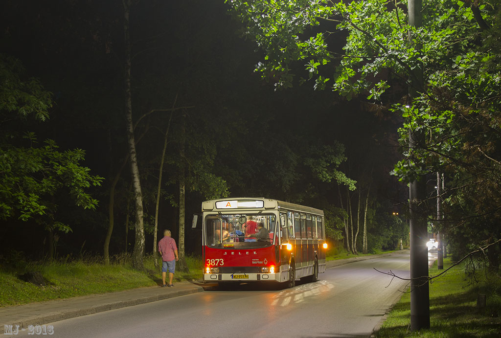 3873
Słowa kluczowe: PR100
