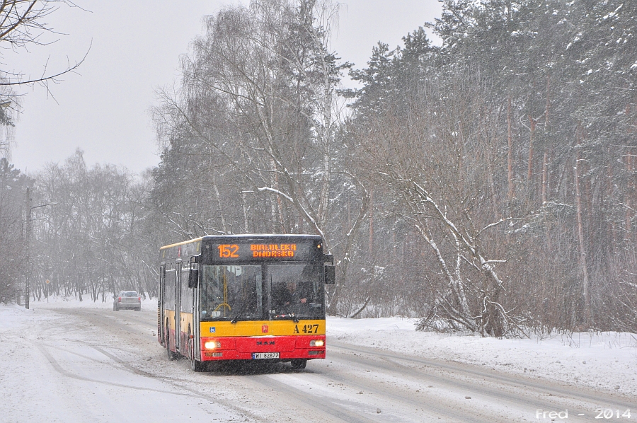 A427
SypnÄĹo...
Słowa kluczowe: Zima ITSNL223