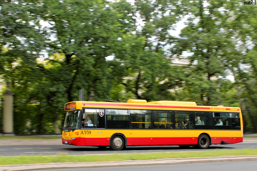 A559
