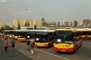 4952.JPG