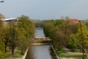 NG313.JPG