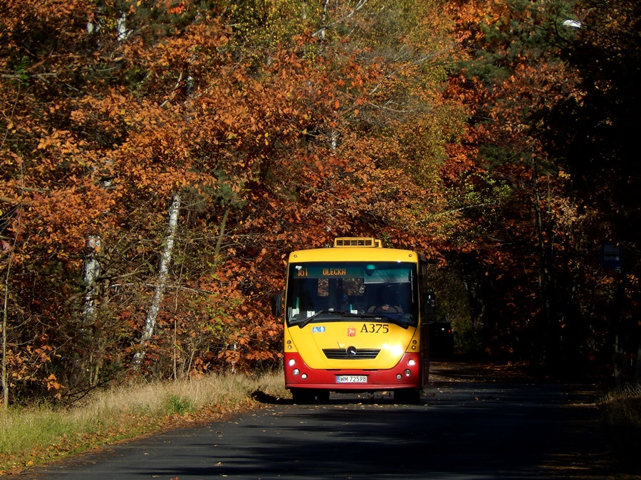 A375
Słowa kluczowe: MOBSOLINA JesieĹ