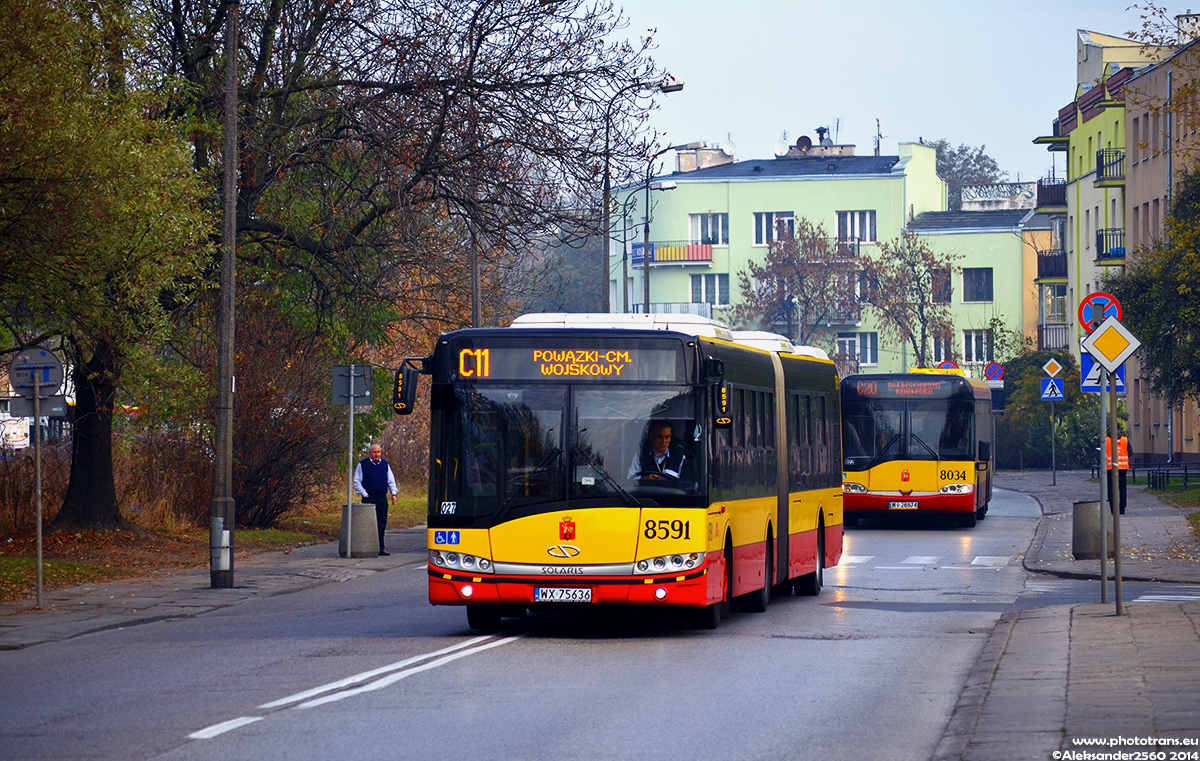 8591
Słowa kluczowe: WĹ2014