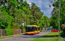9916_2020-06-03bt.jpg
