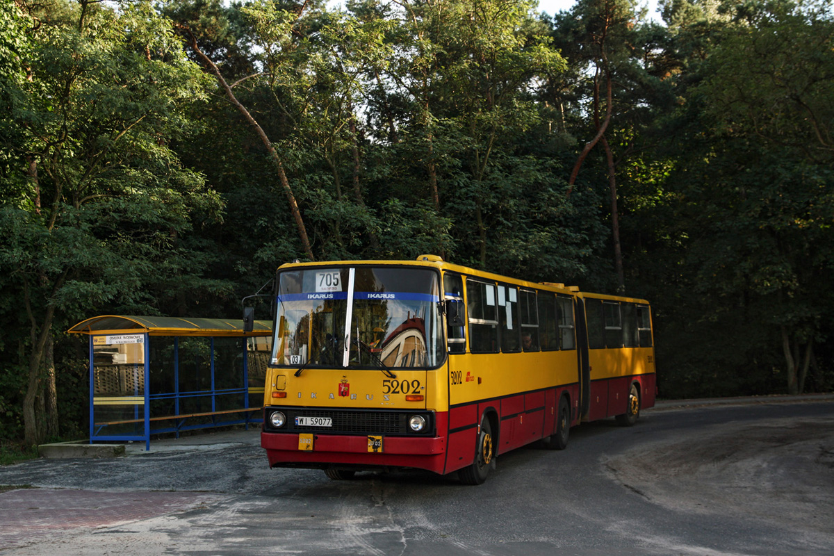 5202
Słowa kluczowe: IK280