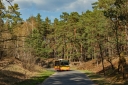 IMG_0520b.jpg