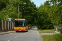 DSC_1036_filtered.jpg