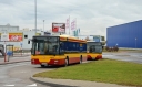 DSC_1669.JPG