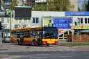 DSC_4260.JPG