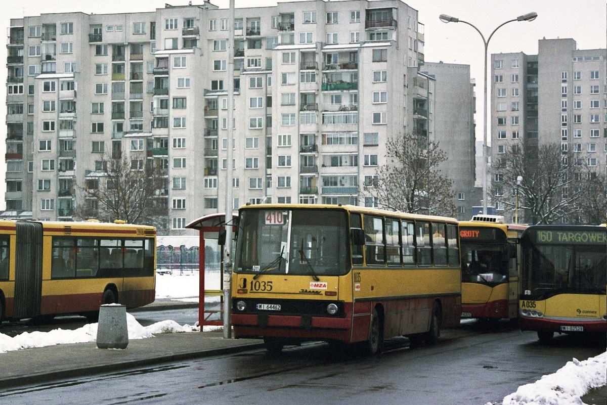 1035
Słowa kluczowe: IK260