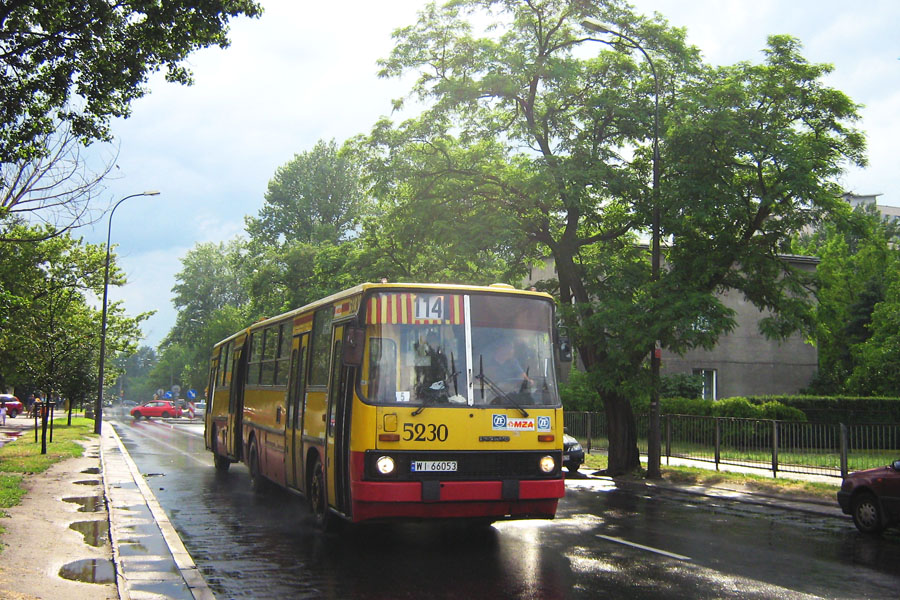 5230
Słowa kluczowe: IK280