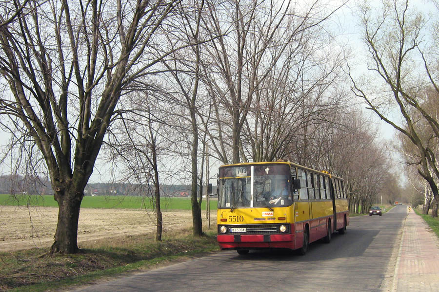 5510
Słowa kluczowe: IK280