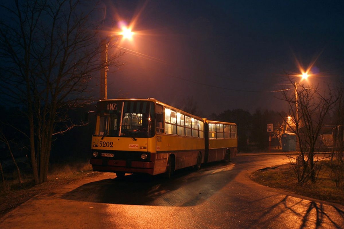 5202
Bizonek w Aleksandrowie
Słowa kluczowe: IK280