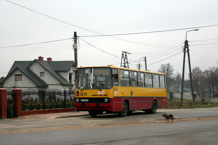 6234
Słowa kluczowe: IK260