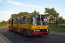 167784.jpg