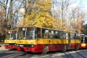 200796.jpg
