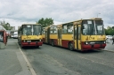 2557.jpg