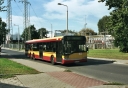 2871029.jpg