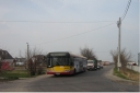 2873299.jpg