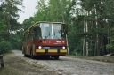 28740291.jpg