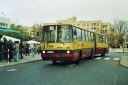 2883229.jpg