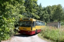 423120.jpg