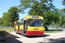 423215.jpg