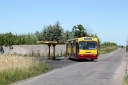 423248.jpg