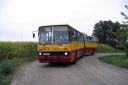 98263.jpg