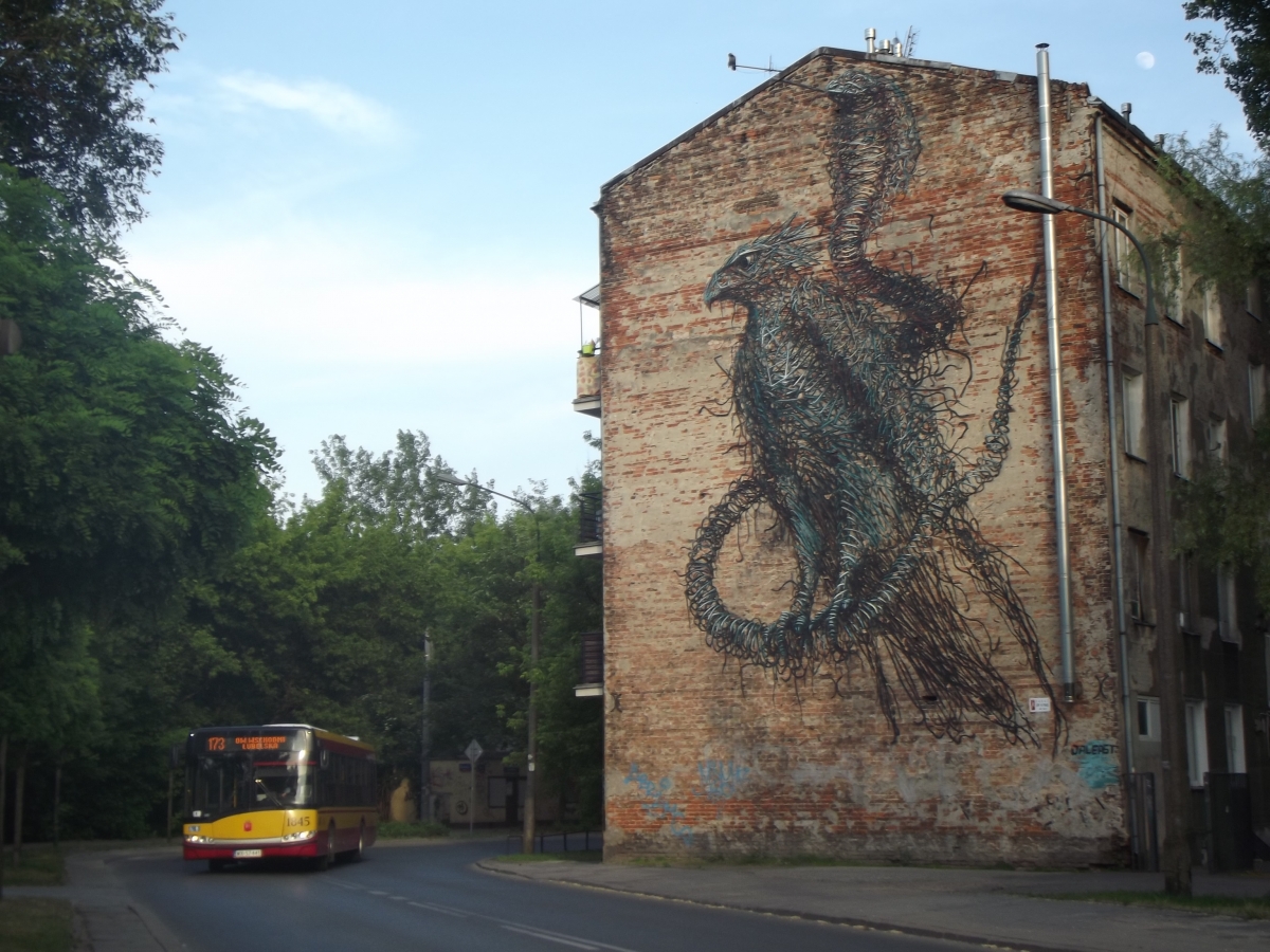 1845
Moje pierwsze zdjÄcie na galerii. Witam wszystkich!
