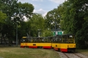 1441.jpg
