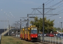 1164_28229.JPG