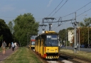 1450.JPG
