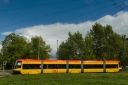 3198_28329.JPG