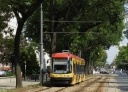 3503.JPG