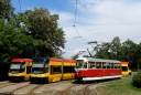 795~0.JPG