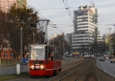 1000_28229.JPG